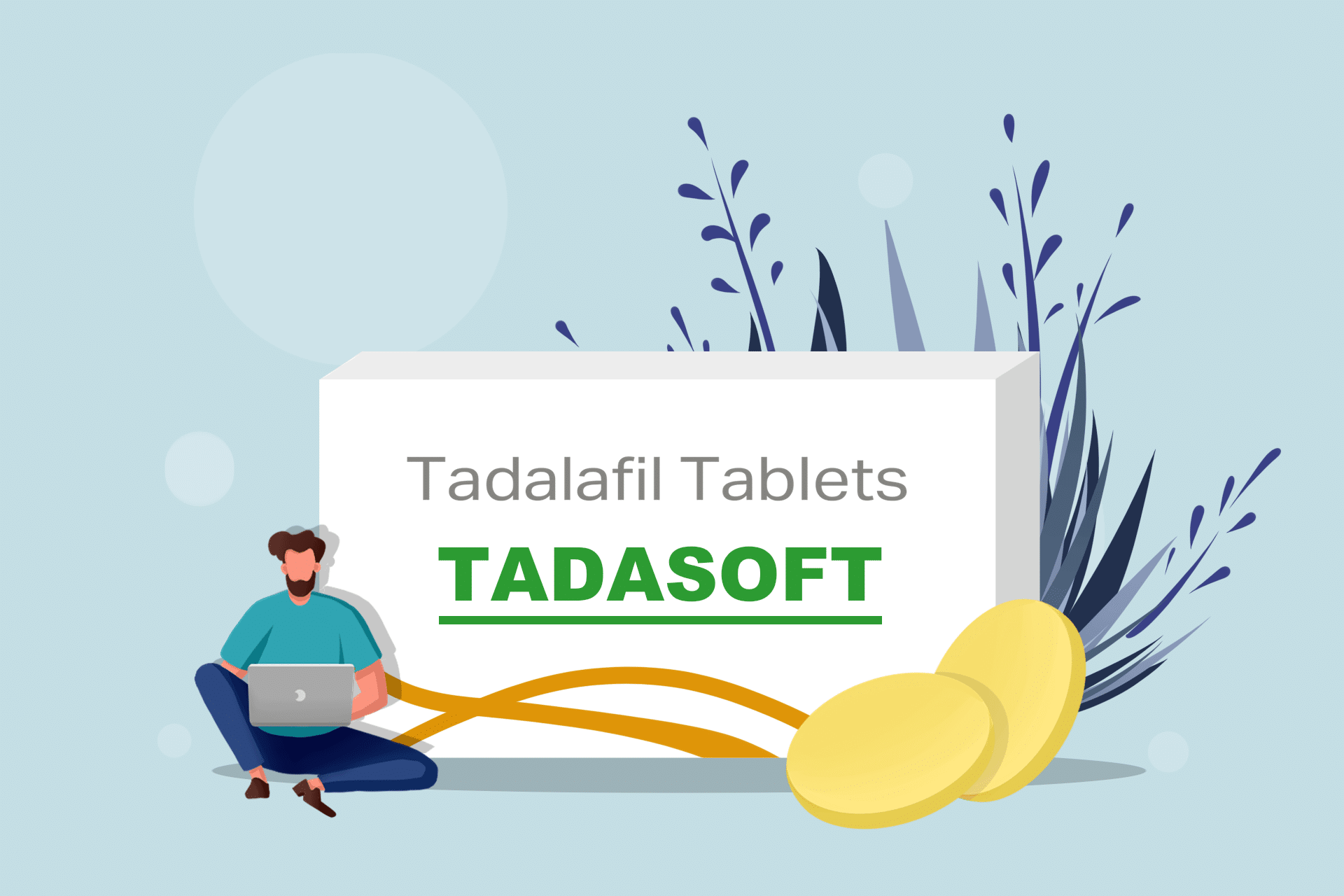 Review of Tadasoft for Beginners [2022] at MoreForce.com