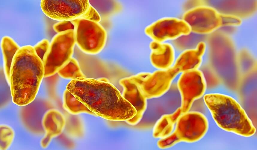 Infections - MoreForce.com Infections