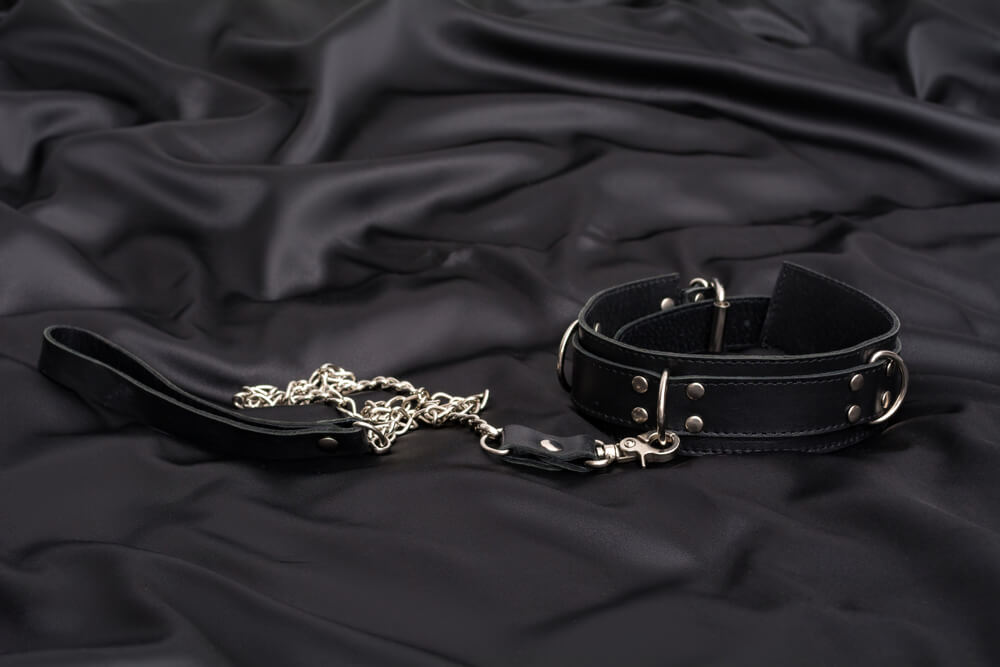 Pet Collar